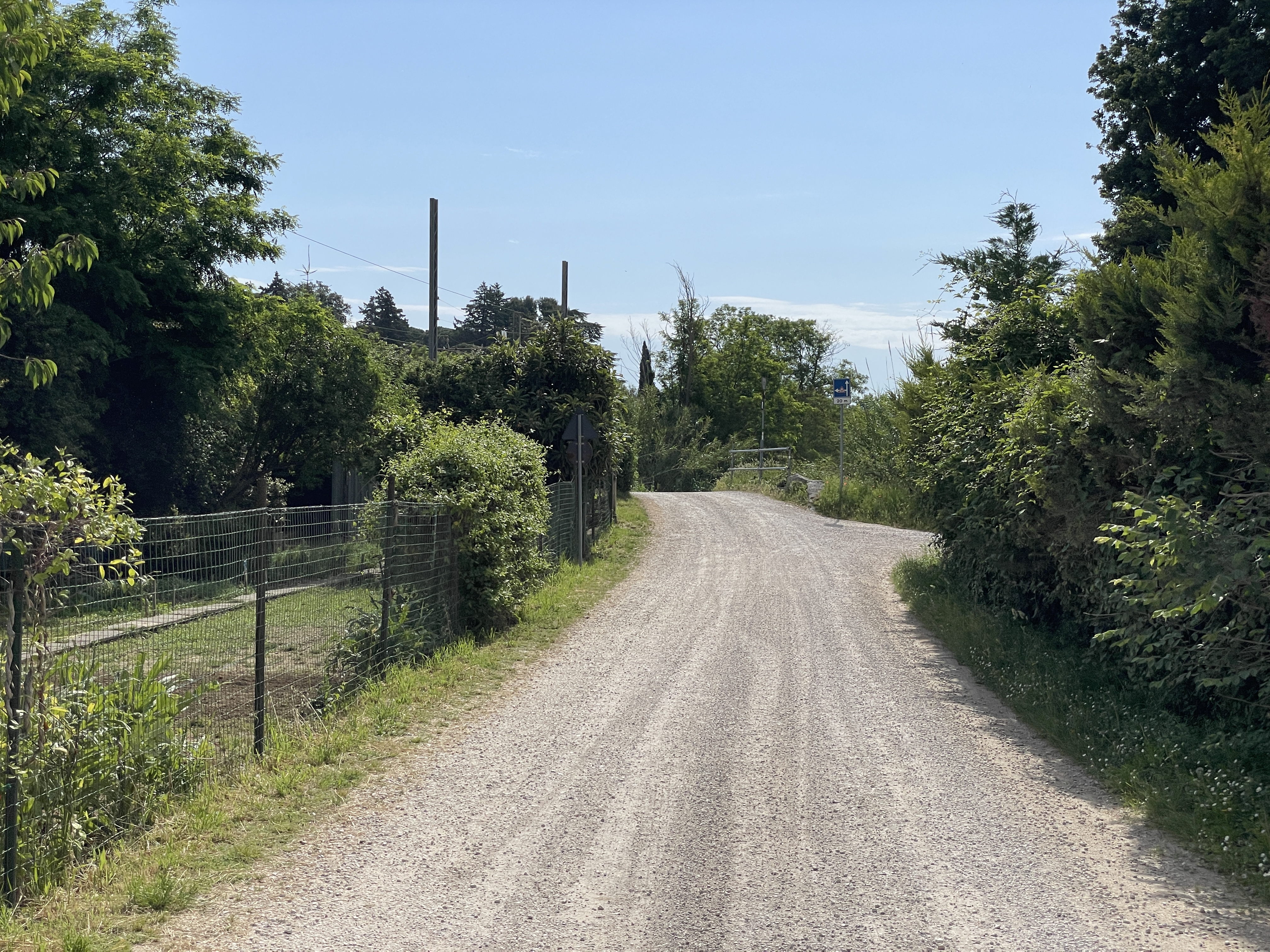 Dirt bicycle path between wire mesh fences, lined with private gardens and lush vegetation.